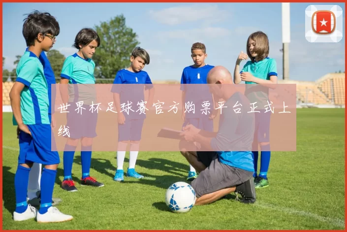 世界杯足球赛官方购票平台正式上线