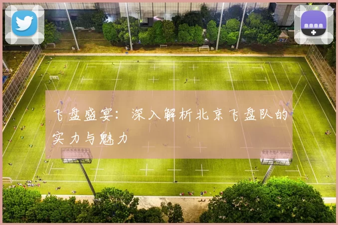 飞盘盛宴：深入解析北京飞盘队的实力与魅力