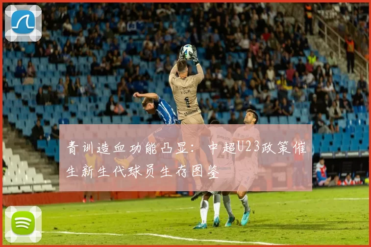 青训造血功能凸显：中超U23政策催生新生代球员生存图鉴