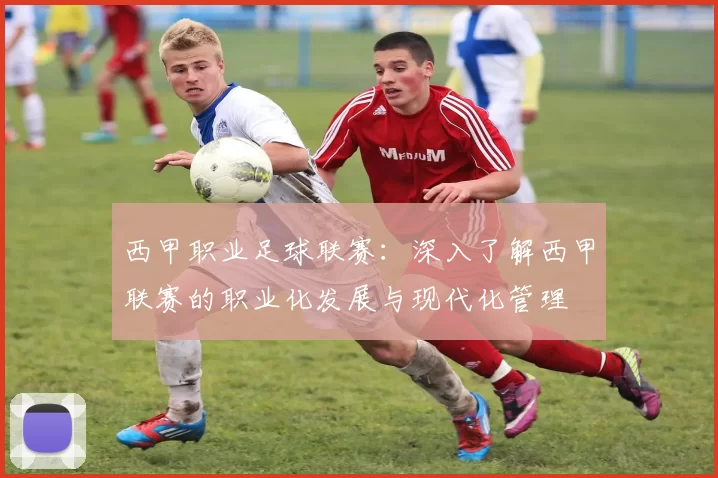 西甲职业足球联赛：深入了解西甲联赛的职业化发展与现代化管理