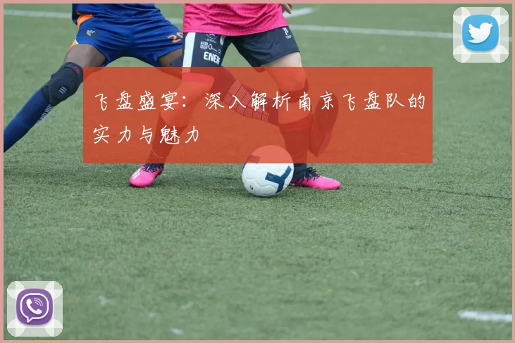 飞盘盛宴：深入解析南京飞盘队的实力与魅力