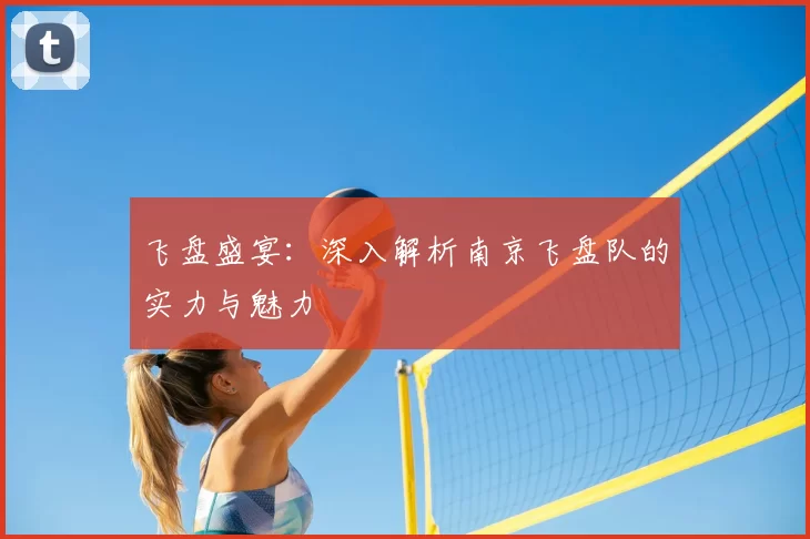 飞盘盛宴：深入解析南京飞盘队的实力与魅力