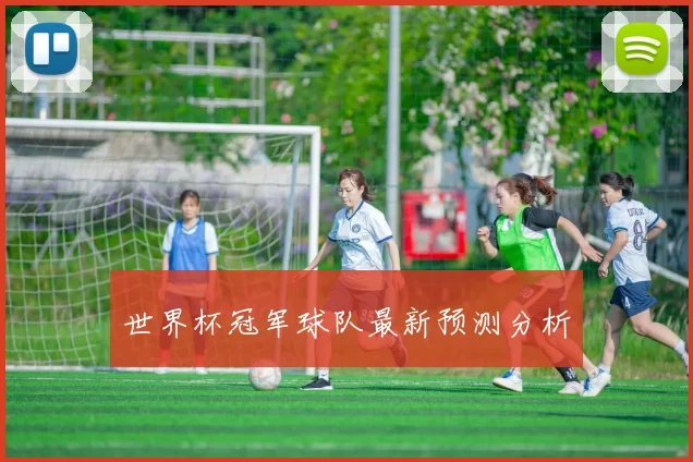世界杯冠军球队最新预测分析