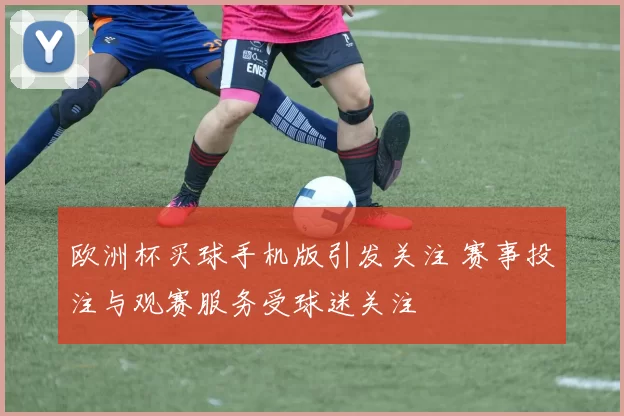 欧洲杯买球手机版引发关注 赛事投注与观赛服务受球迷关注