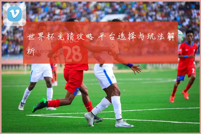 世界杯竞猜攻略 平台选择与玩法解析