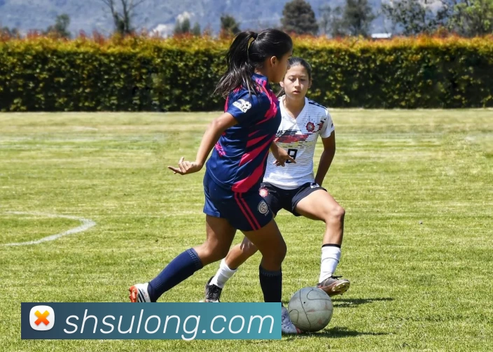 kaiyun平台生态图